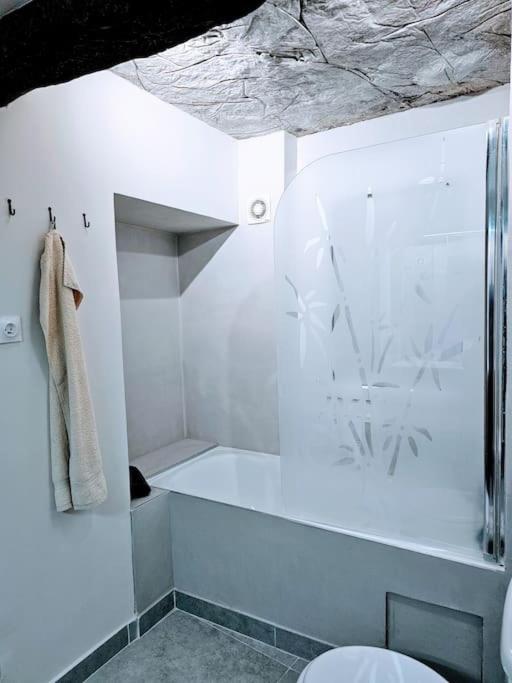 Apartmán Oasis Parfumee 4 Couchages Au Coeur De Grasse Wifi Exteriér fotografie